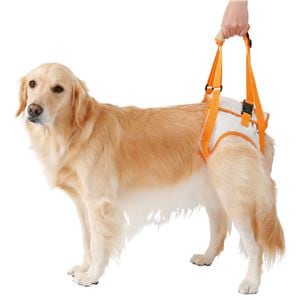 老犬介護用 歩行補助ハーネス 後足用K 3L （ペット用品・犬用）(卸商品)