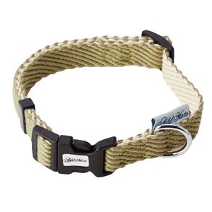 （まとめ） 犬用首輪 ソフトスキップカラーM グリーン （ペット用品・犬用） 【×2セット】(卸商品)