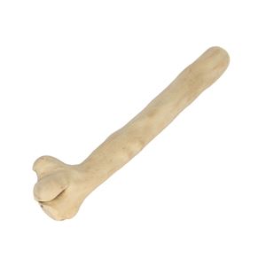 カフェウッド チャンプ L (ペット用品・犬用)(卸商品)