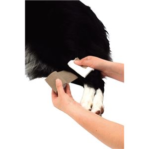 （まとめ）老犬介護用 巻くだけ伸縮包帯【×3セット】 (犬用品)(卸商品)