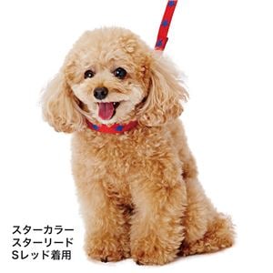 （まとめ）メリカジ ストライプリード S ネイビー【×3セット】 (犬用品/リード)(卸商品)