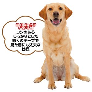 （まとめ）メリカジ ストライプリード S ネイビー【×3セット】 (犬用品/リード)(卸商品)