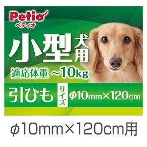 （まとめ）NEW ネオンリード 10mm レッド【×3セット】 (犬用品/リード)(卸商品)