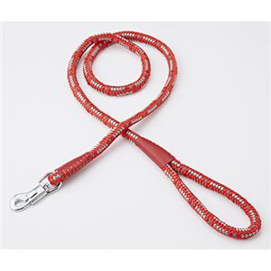 （まとめ）NEW ネオンリード 10mm レッド【×3セット】 (犬用品/リード)(卸商品)