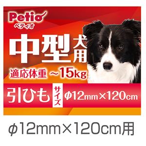 （まとめ）NEW ネオンリード 12mm レッド【×2セット】 (犬用品/リード)(卸商品)