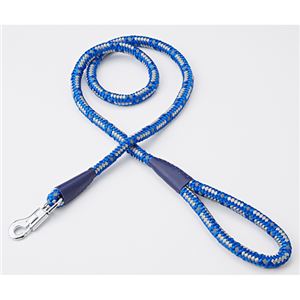 （まとめ）NEW ネオンリード 12mm ブルー【×2セット】 (犬用品/リード)(卸商品)