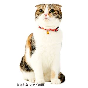 （まとめ）Anycat カラー チェック パープル【×3セット】 (猫用品/首輪)(卸商品)