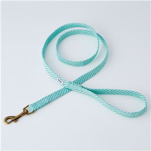 （まとめ）フラッシュソフトリード SS ブルー【×3セット】 (犬用品/リード)(卸商品)