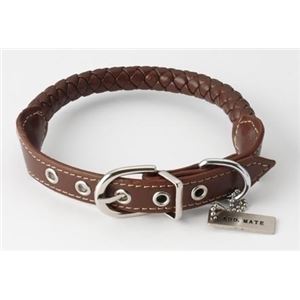 (まとめ)Maniera カラー S ブラウン【×2セット】 (犬用品/首輪)(卸商品)