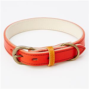 アンティークレザースタイルカラー XS レッド (犬用品/首輪)(卸商品)
