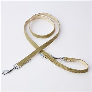 （まとめ）ソフトスキップリード SS グリーン【×2セット】 (犬用品/リード)(卸商品)