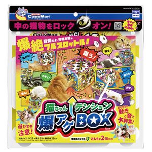 （まとめ）猫ちゃんテンション爆アゲBOX【×3セット】 (猫用玩具)(卸商品)