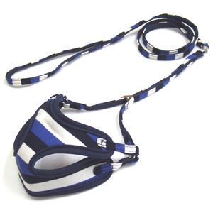 （まとめ）シックボーダーソフトハーネスリード 3S ブルー【×2セット】 (犬用品/リード)(卸商品)