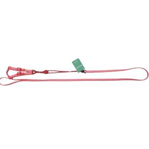 （まとめ）トロットハーネスリード ギンガム レッド【×2セット】 (犬用品/リード)(卸商品)