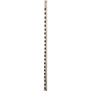 （まとめ）クレヨンリード XS ブラック【×2セット】 (犬用品/リード)(卸商品)