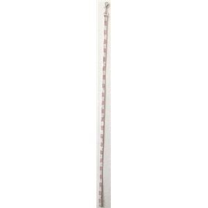 クレヨンリード S ピンク (犬用品/リード)(卸商品)