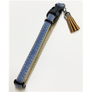 （まとめ）ダニエルカラー XS ブルー【×2セット】 (犬用品/首輪)(卸商品)
