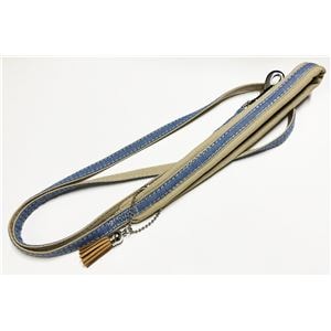 （まとめ）ダニエルリード XS ブルー【×2セット】 (犬用品/リード)(卸商品)
