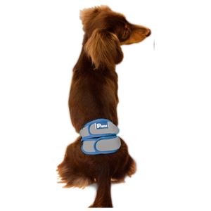 男の子のためのマナーホルダーActive SS (犬 衛生用品/シーツ)(卸商品)