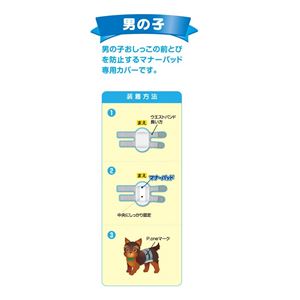 男の子のためのマナーホルダーActive LL (犬 衛生用品/シーツ)(卸商品)