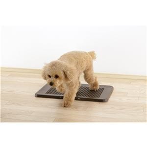 お掃除簡単フラットトレー レギュラー ダークブラウン (犬猫 衛生用品/トイレ)(卸商品)