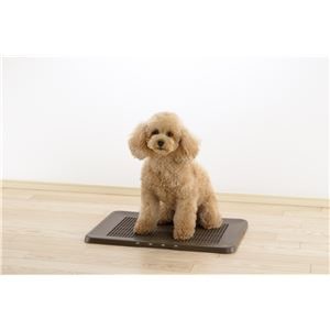 お掃除簡単フラットトレー レギュラー ダークブラウン (犬猫 衛生用品/トイレ)(卸商品)