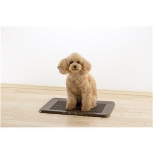 お掃除簡単フラットトレー レギュラー ダークブラウン (犬猫 衛生用品/トイレ)(卸商品)