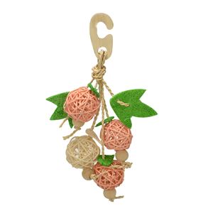 （まとめ）ナチュラルハンガー フルーツ【×5セット】 (鳥用品/玩具)(卸商品)