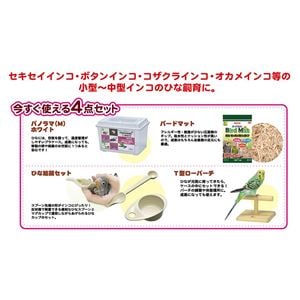 三晃商会 SANKO B52 インコひな用 特製飼育セット