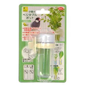 （まとめ）小鳥のベジタブルポット【×5セット】 (鳥用品)(卸商品)