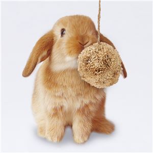 （まとめ）ポンポンフラワー【×5セット】 (小動物用品/玩具)(卸商品)