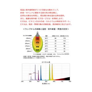 スーパーサンUV 75W (爬虫類用品)(卸商品)