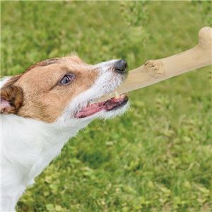 （まとめ）カフェウッド チャンプ S【×3セット】 (犬用玩具)(卸商品)