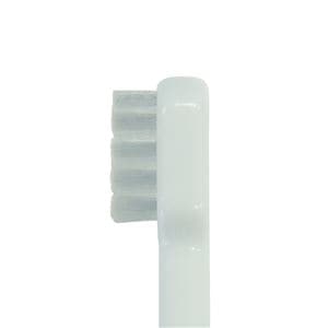 （まとめ） デントレーナー鼻ペチャ犬用 1本 【×5セット】 （ペット用品）(卸商品)