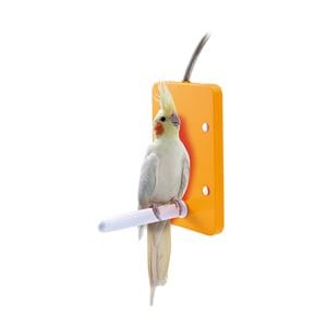  ほっととり暖寄りそいヒーター L （鳥用品）(卸商品)