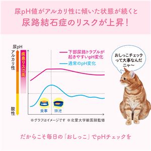 （まとめ）大王製紙 キミおもい おしっこチェックできる 固まる紙のネコ砂 5L （猫 衛生用品／猫砂） 【×2セット】(卸商品)