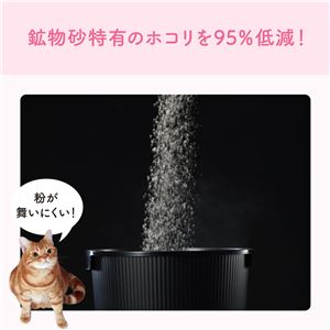 （まとめ）大王製紙 キミおもい カチッと固まる ネコ砂 5L （猫 衛生用品／猫砂） 【×2セット】(卸商品)