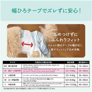 大王製紙 キミおもい リラックスウェア SS 38枚 （犬用 衛生用品／紙オムツ）(卸商品)