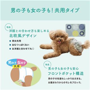 大王製紙 キミおもい リラックスウェア SS 38枚 （犬用 衛生用品／紙オムツ）(卸商品)