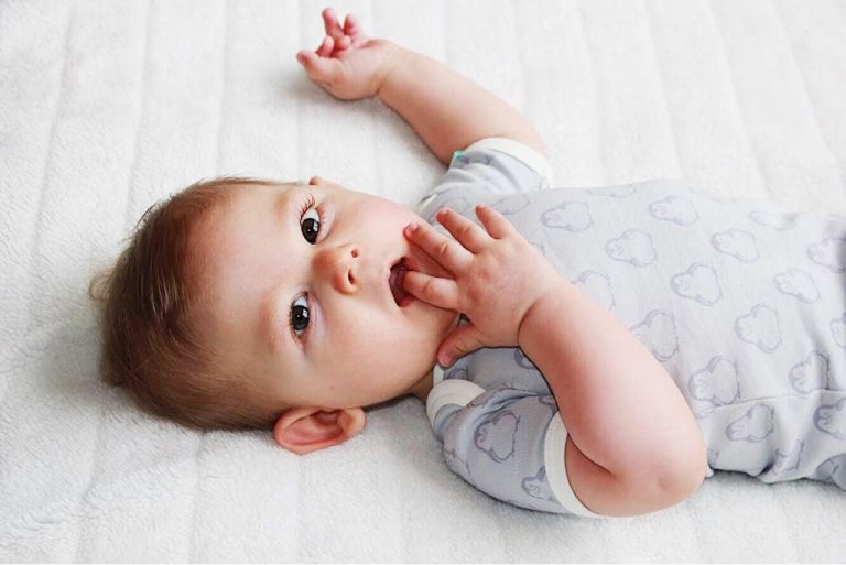 BiNKi 半袖ロンパース オーガニックコットン100% ビンキペンギン柄 グレー オランダ発のダッチデザイン Short sleeve romper M/L/XL