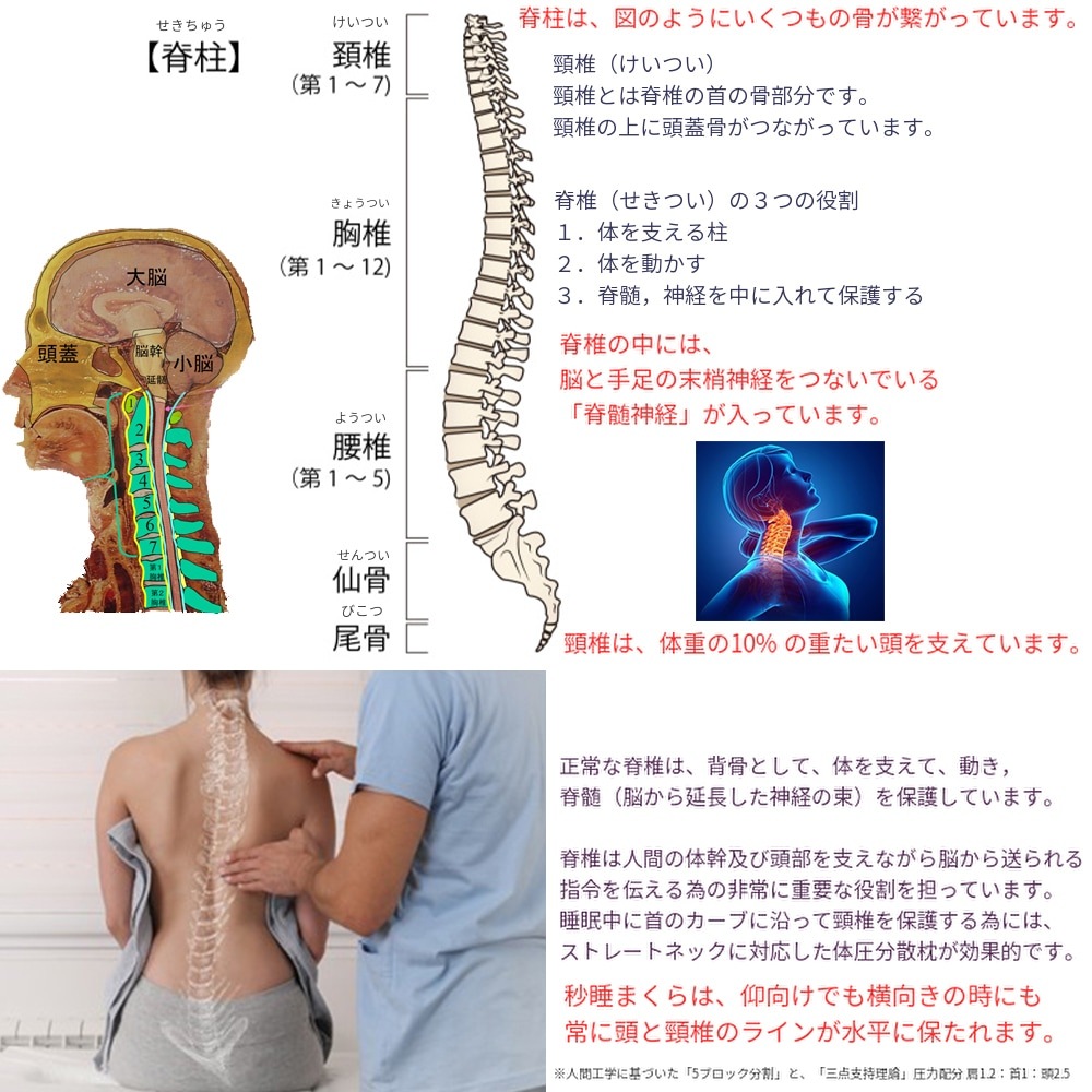 秒睡まくら天然ラテックス フレークチップ50万個 高反発 高弾力 通気性枕 100万個ヒット evezary Latex pillow 日本限定 【専用枕付き販売】