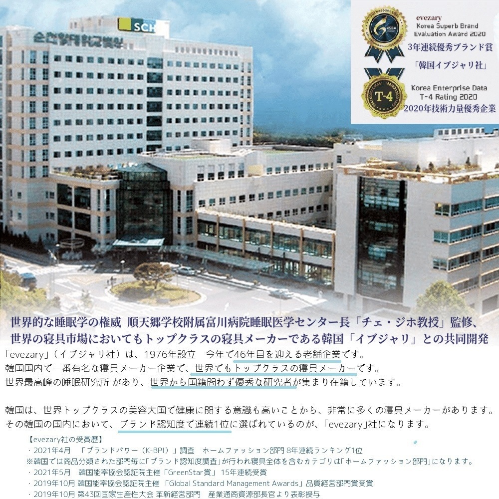 秒睡まくら天然ラテックス フレークチップ50万個 高反発 高弾力 通気性枕 100万個ヒット evezary Latex pillow 日本限定 【専用枕付き販売】