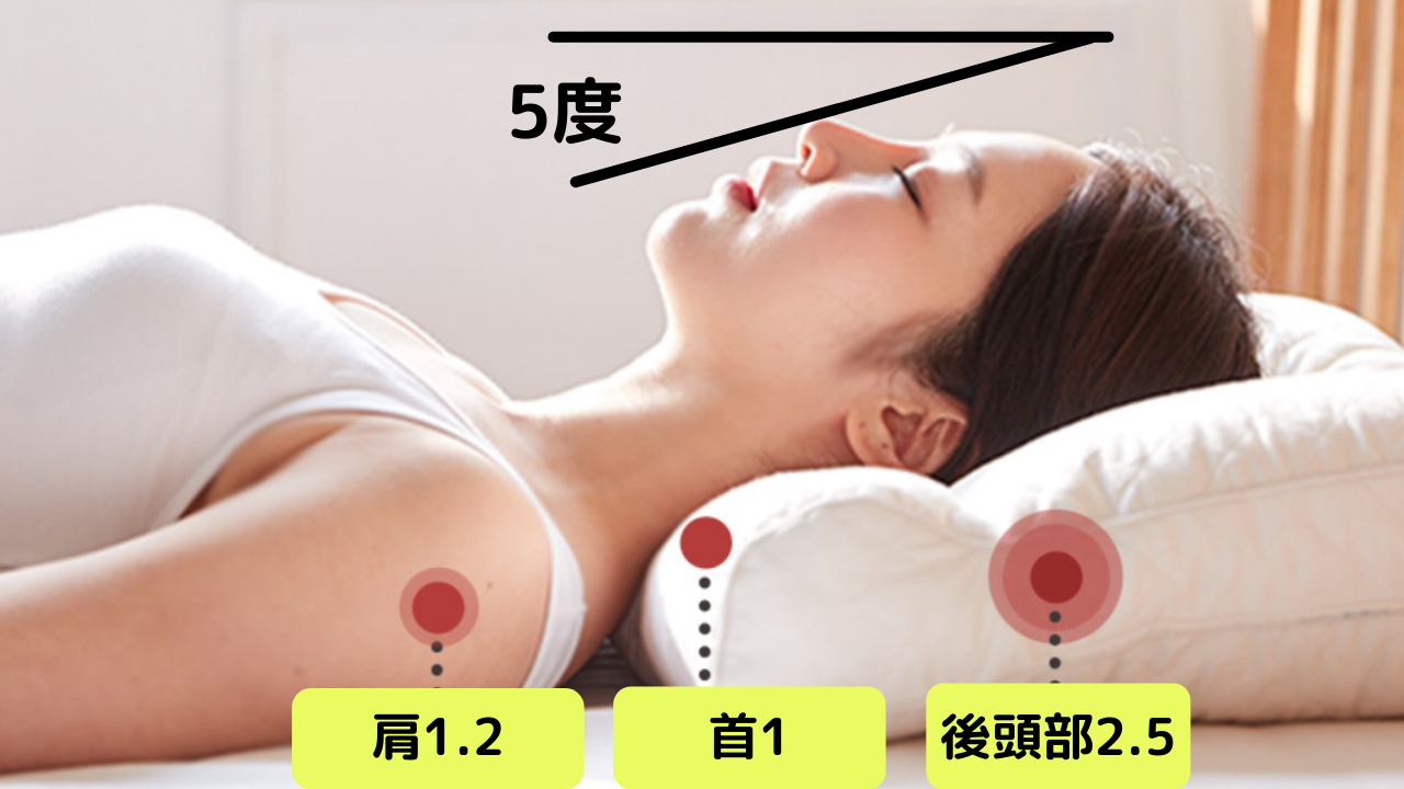 秒睡まくら天然ラテックス フレークチップ50万個 高反発 高弾力 通気性枕 100万個ヒット evezary Latex pillow 日本限定 【専用枕付き販売】