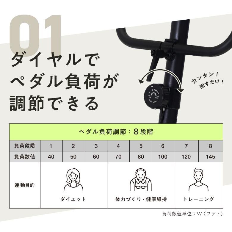 アルインコ ALINCO エアロマグネティックバイク4022 AFB4022 シンプル 操作しやすい 簡単 バイク運動 お家で 静か