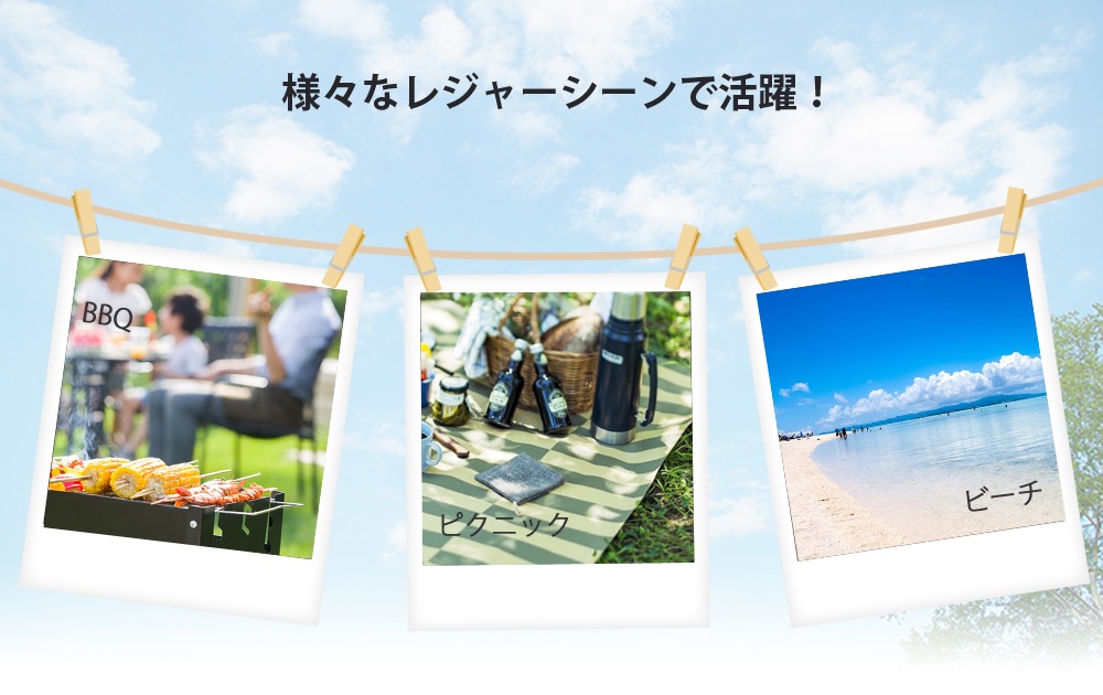 Landfield 入門用 ドームテント 2～3人用 LF-ST020-YE