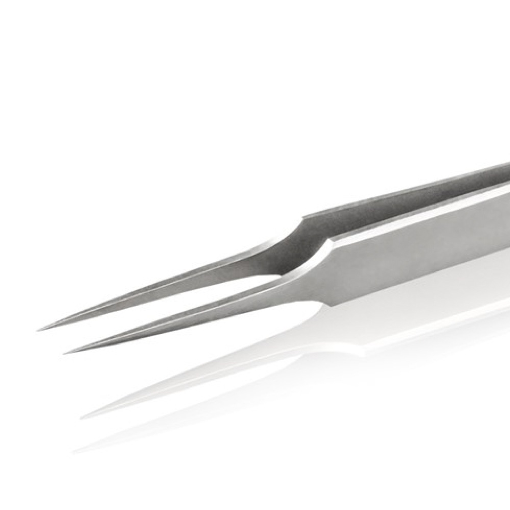 �������ƥ�쥹���ԥ󥻥å�<br>RUBIS 2-SA