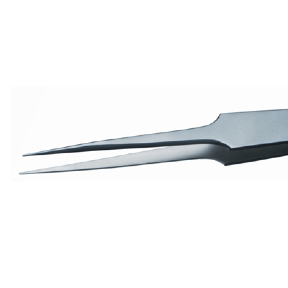 �������ƥ�쥹���ԥ󥻥å�<br>RUBIS GG-SA