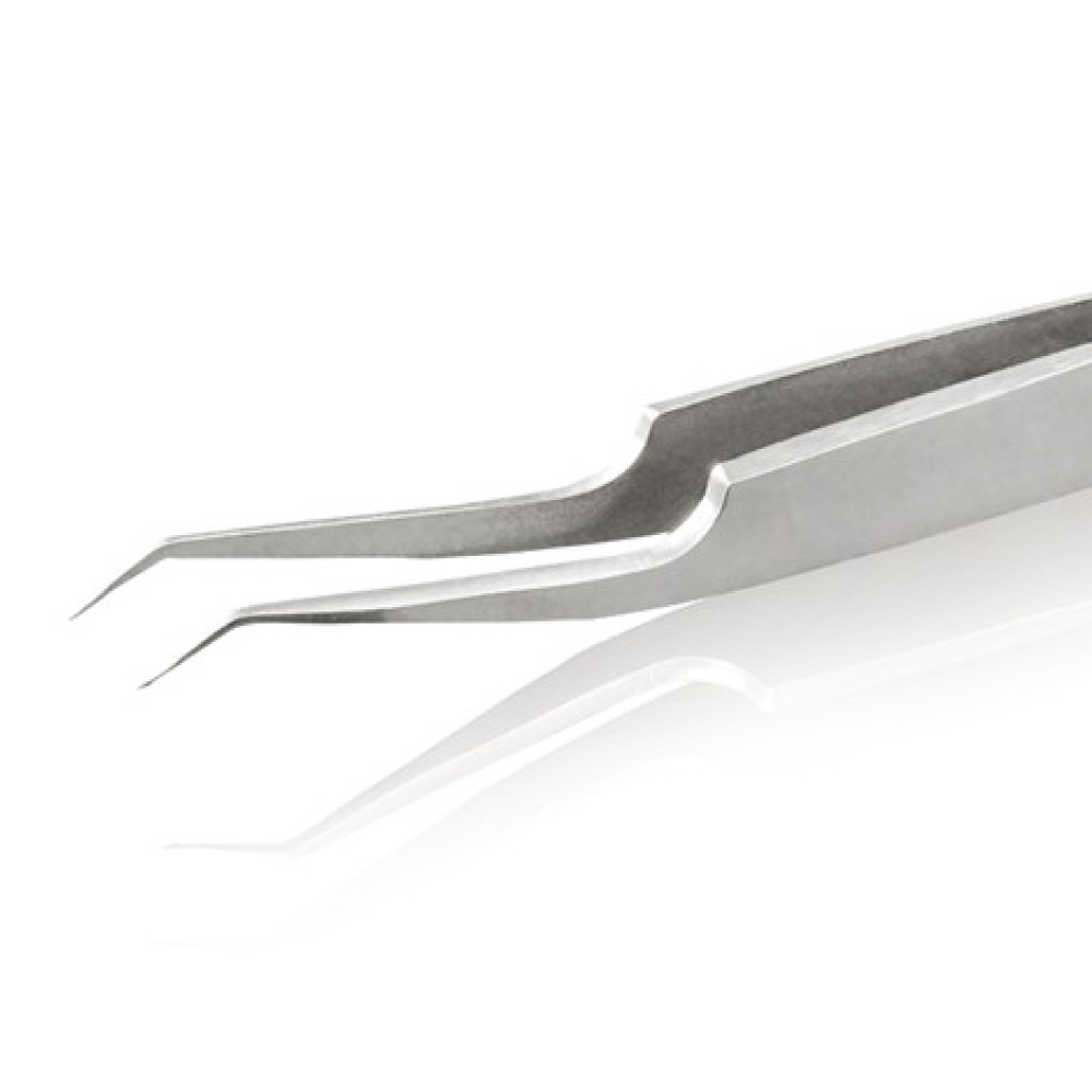 ƥ쥹ԥ󥻥å<br>RUBIS 5AR-SA