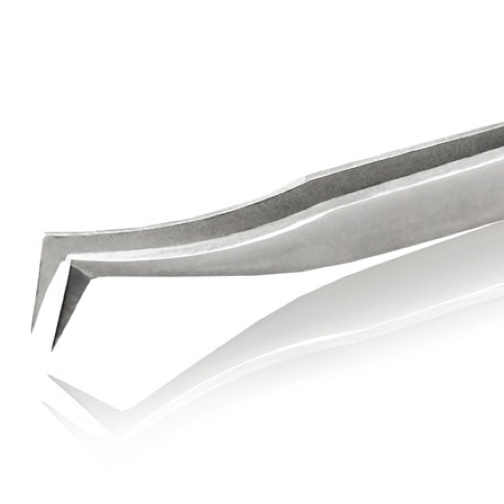 ƥ쥹ԥ󥻥å<br>RUBIS 6-SA