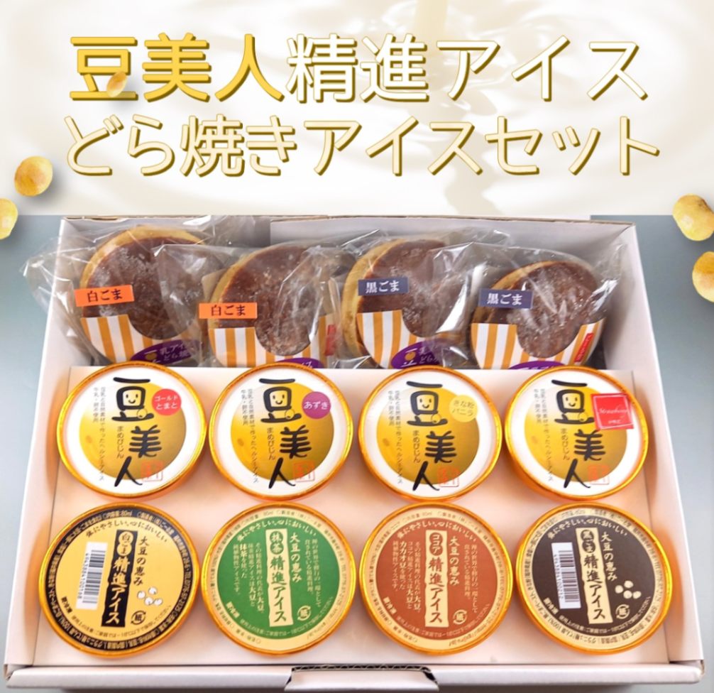 【福井 ごーる堂】 どら焼きアイス入り ごーる堂の豆乳アイス 12種セット 植物性アイス 豆美人 精進アイス